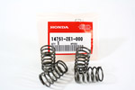 Honda GX160 Valve Springs